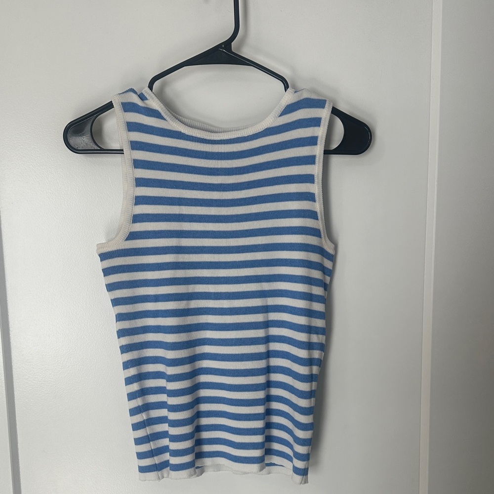Wishlist Blue and White Striped Tank Top